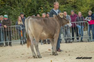 k-AR8I4410 Vize Rinderchampion OB Vrederik Fraenzi Martin Duss